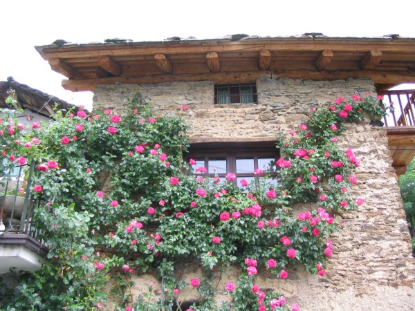 ../Images/Maggio 2004 028.jpg